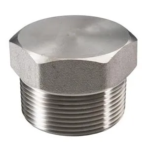 RVS plug 2 1/2" Bu.dr.