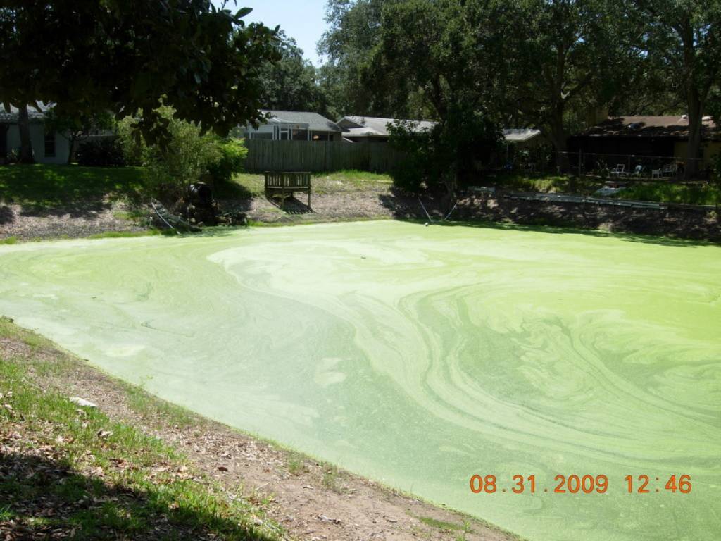 Pond Log tot 400.000 L - Fosfaat verwijderaar