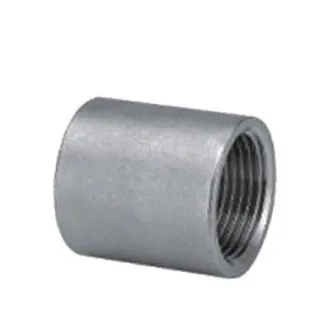 RVS sok 1 1/4" draadfitting