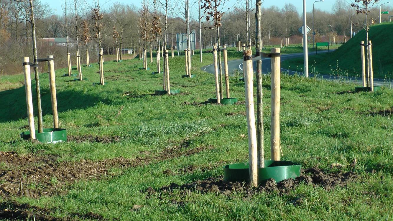 Gietrand groen LDPE 3 mm breedte 30 cm, L = 20 m
